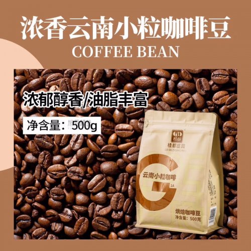 桂都咖啡豆 500g 农科院云南小粒咖啡 阿比卡意式中度烘焙浓缩咖啡